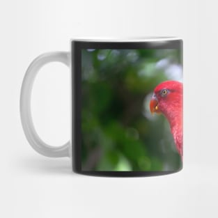 Red Macaw Mug